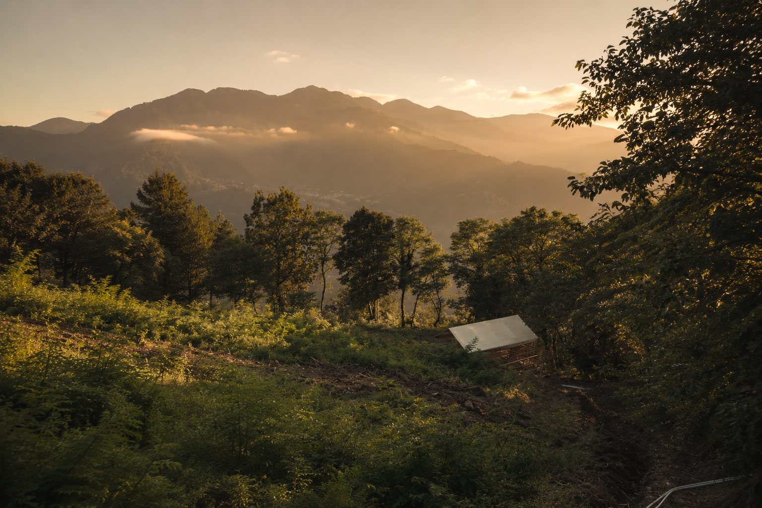 The slope of Erge in Adjara, Georgia
