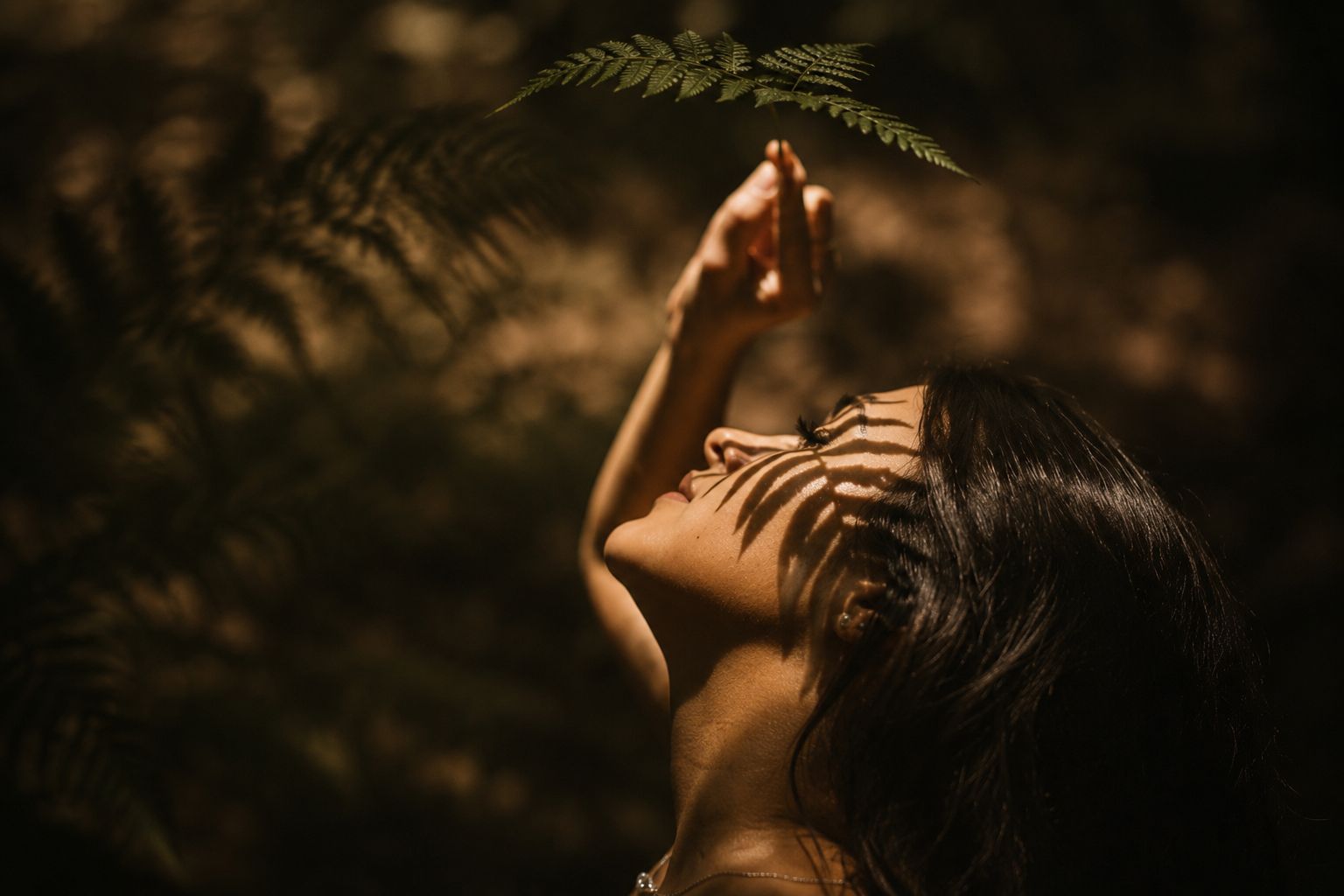 A guest among the ferns