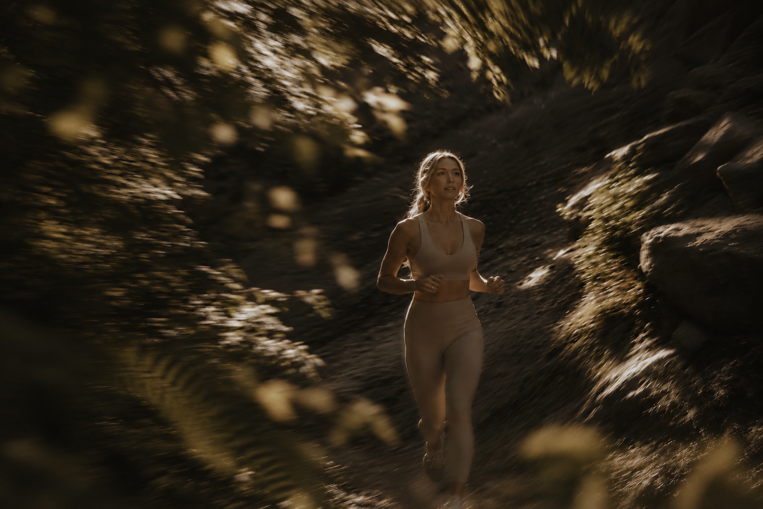 Forest hike