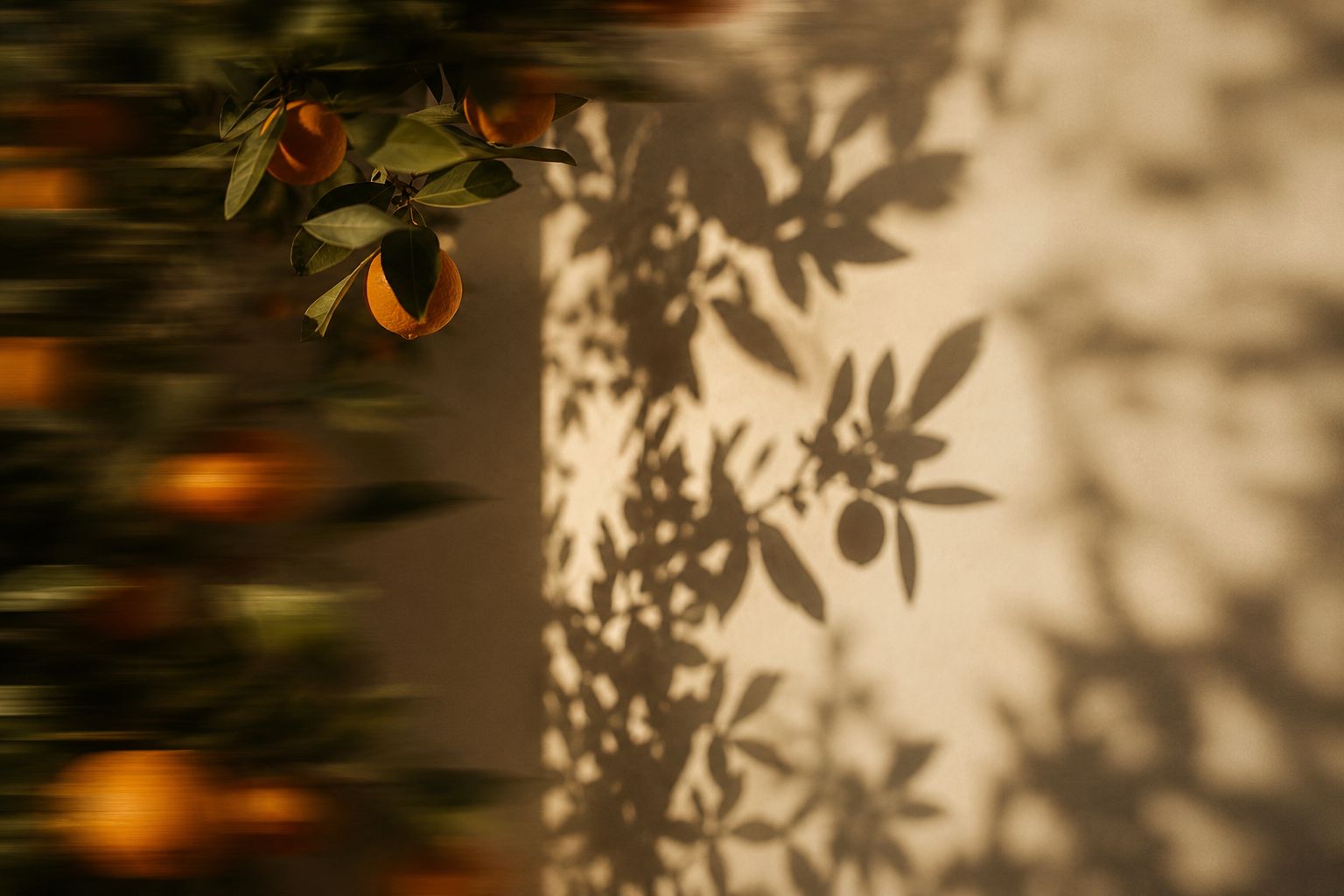 Energizing: morning light and citrus
