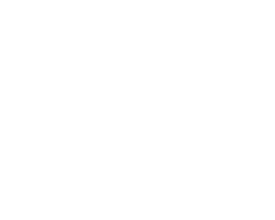 BAGHI