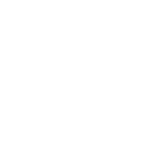 BAGHI