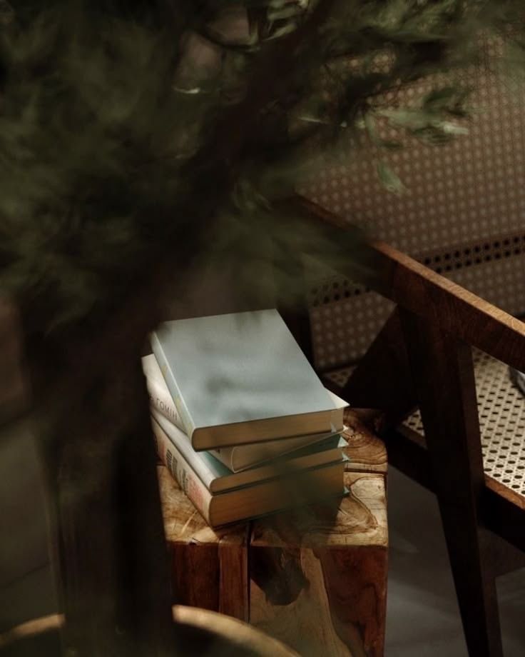 A reading corner in the lodge