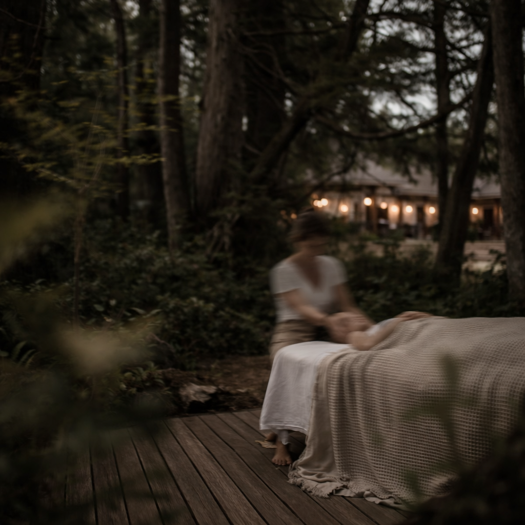 The spa cluster at the forest edge